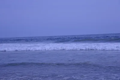 DSC_2229 (Large).JPG